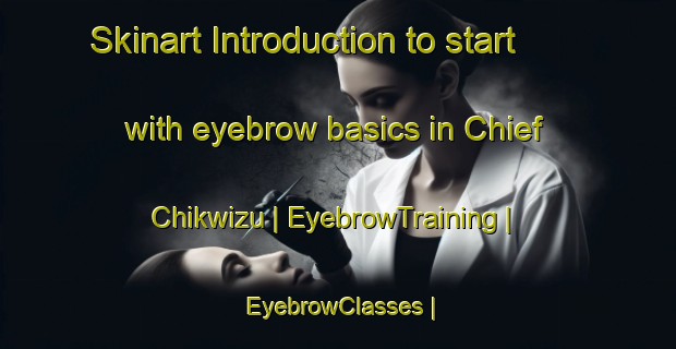 Skinart Introduction to start with eyebrow basics in Chief Chikwizu | EyebrowTraining | EyebrowClasses | SkinartTraining-Zimbabwe